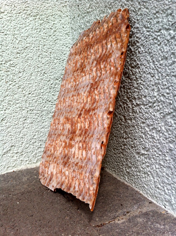 Herausgelöste Kalkplatte aus einem Wärmetauscher